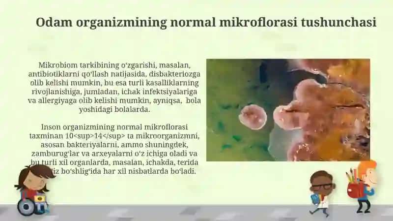 Odam organizmi normal mikroflorasi Disbakterioz haqida tushuncha 3