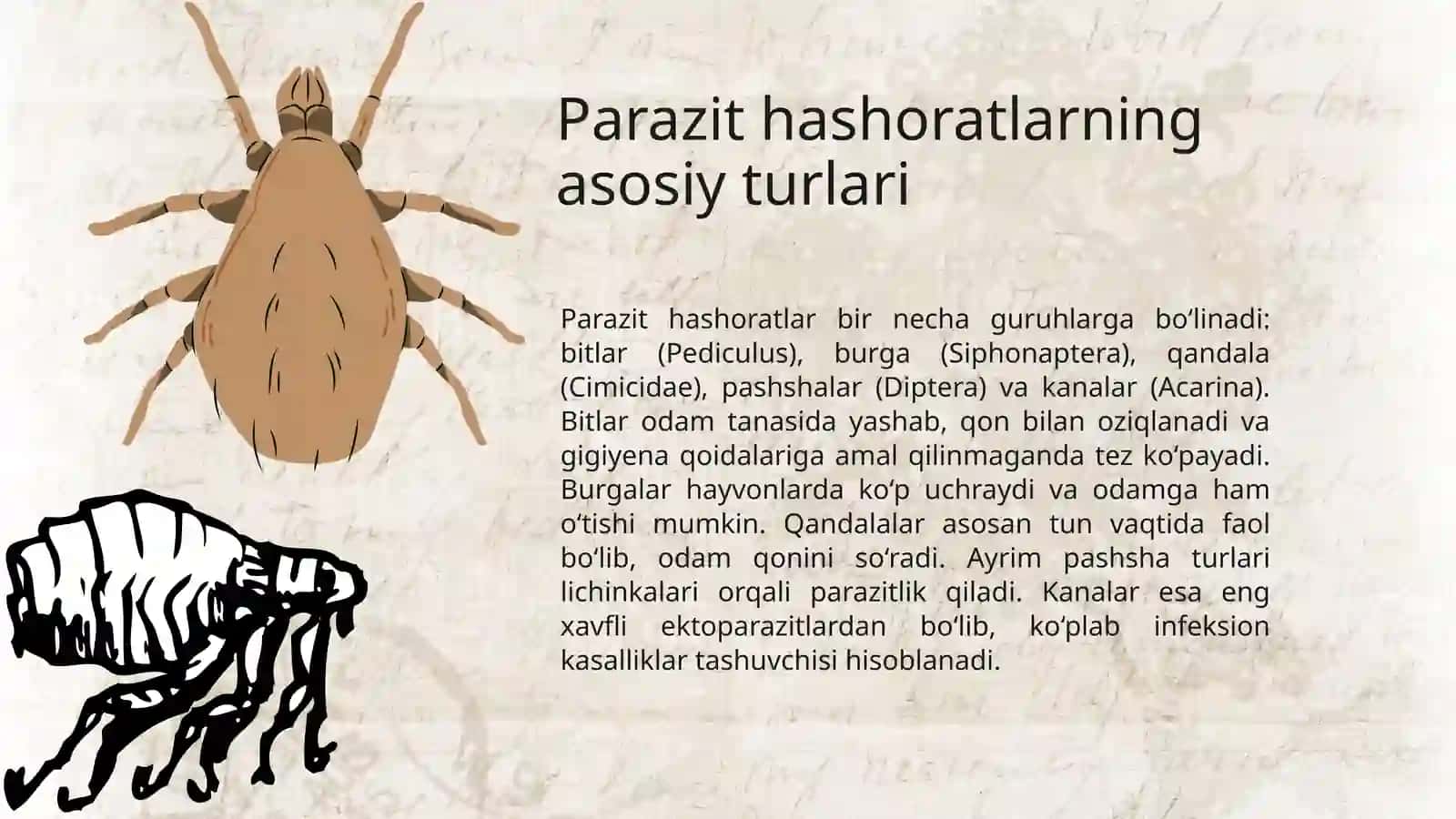Odamlarda va hayvonlarda parazitlik qiluvchi hashoratlar 3