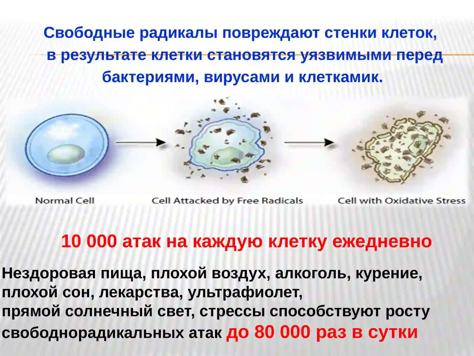 Antioksidant vitamin va minerallar 3