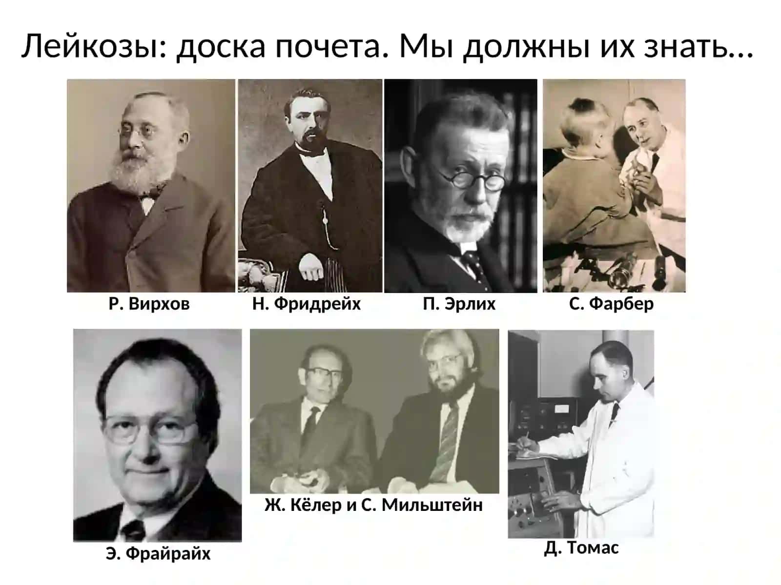 Лейкозы: доска почета. Мы должны их знать… 3