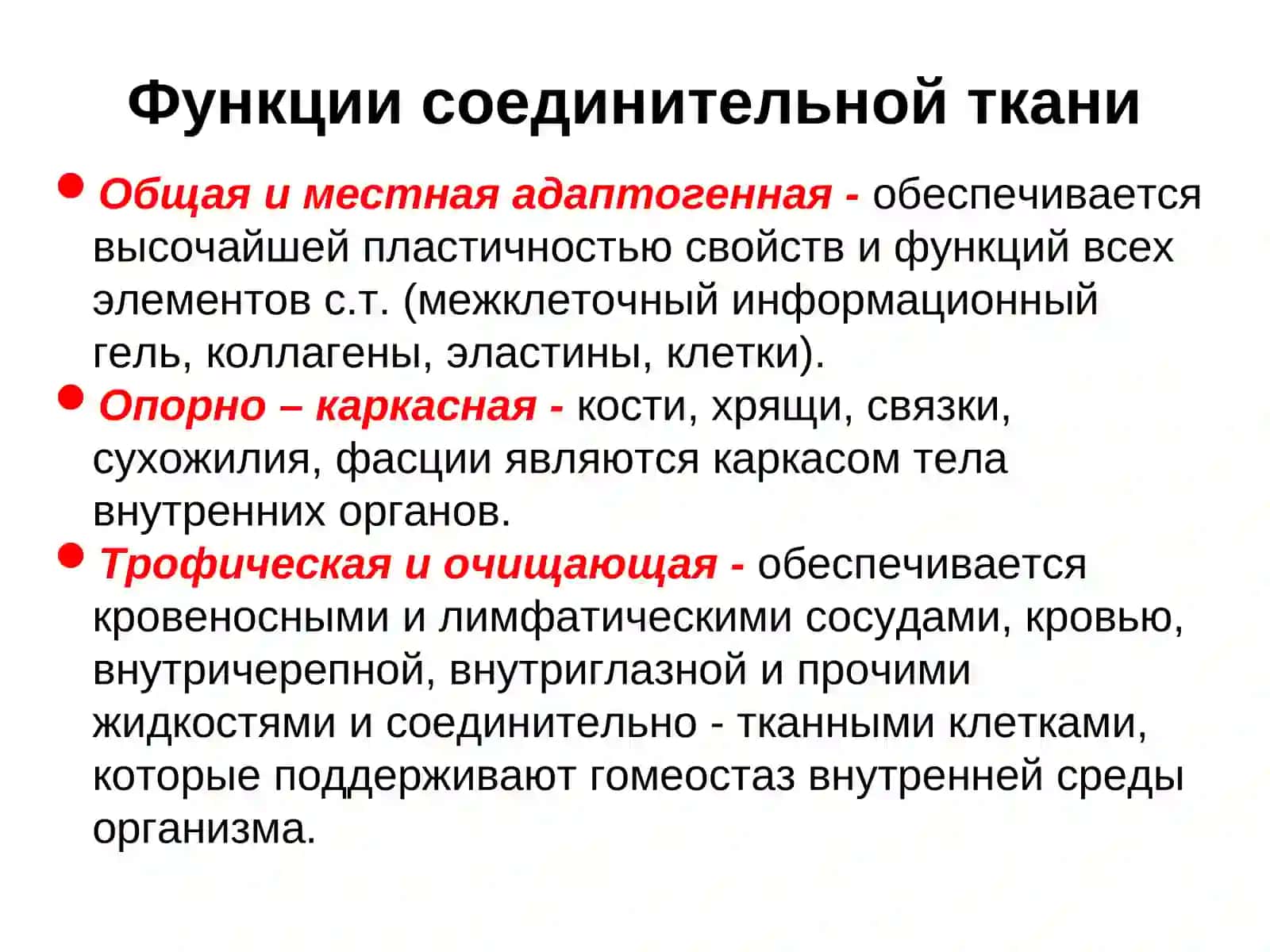 СОЕДИНИТЕЛЬНАЯ ТКАНЬМОРФОФУНКЦИОНАЛЬНЫЕ ОСОБЕННОСТИ, КЛАССИФИКАЦИЯ, РАЗВИТИЕ 3