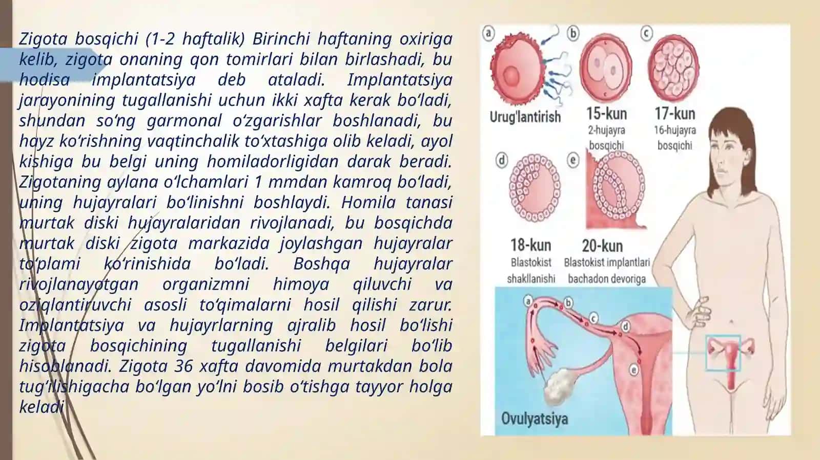 Ontogenezning ilk bosqichlarida insonning  psixik rivojlanishga xos xususiyatlarq 3