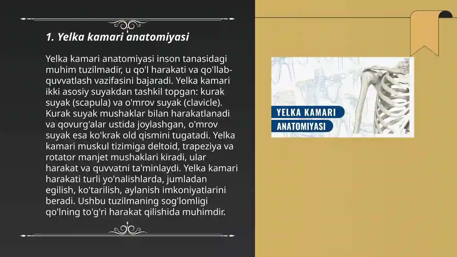 Yelka kamari va qoʻl erkin qismi suyaklarining birlashuvi 3