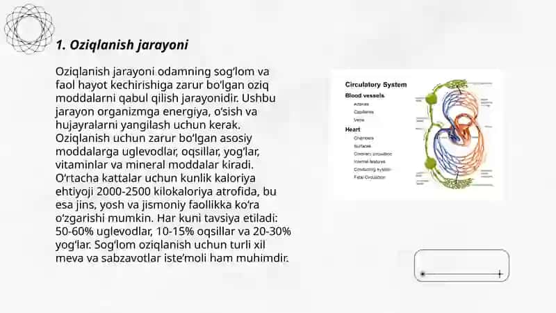 Oziqlanish va qon aylanish 3