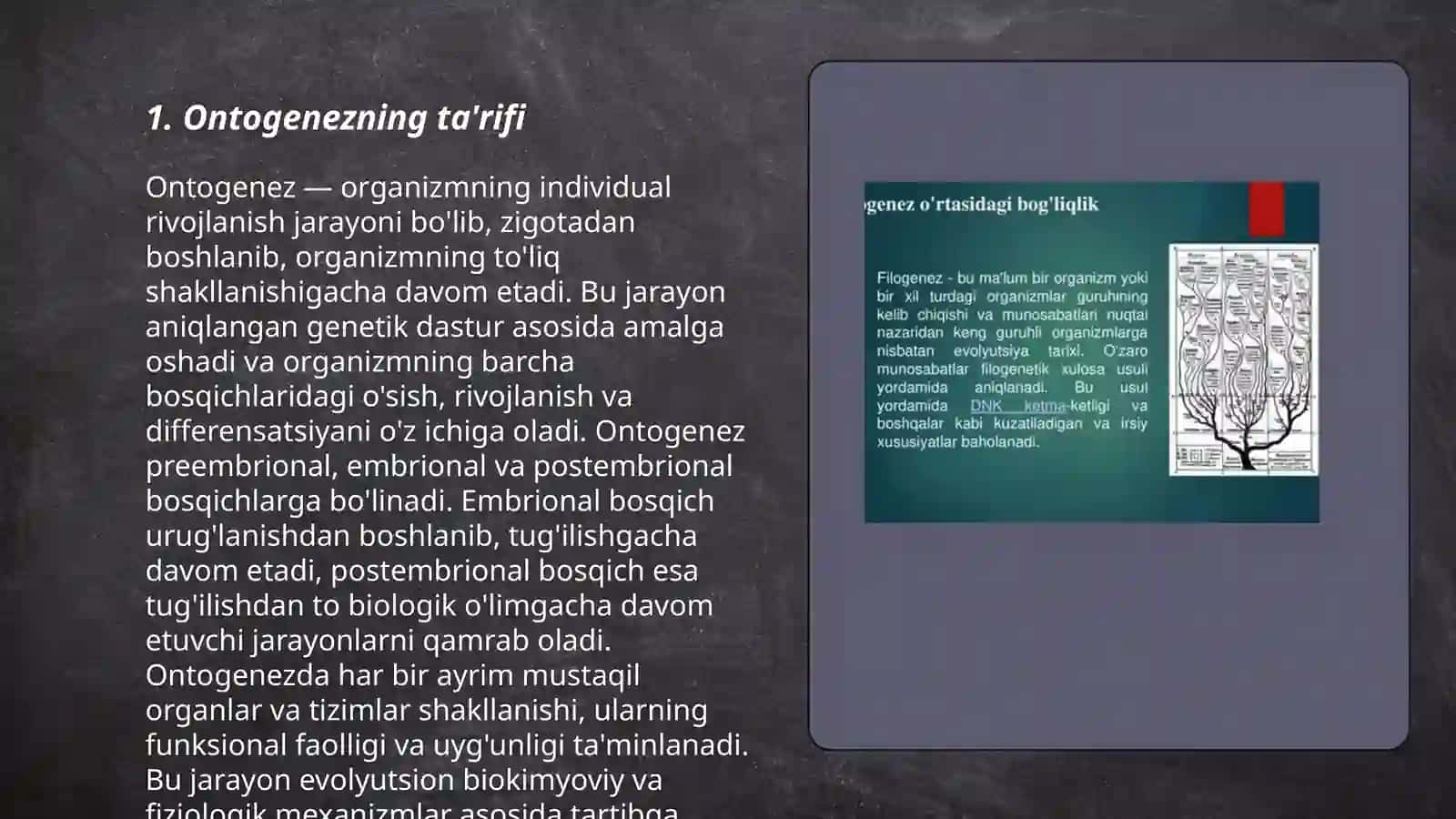 Ontogenez va filogenez ularning o’zaro bog’liqligi 3