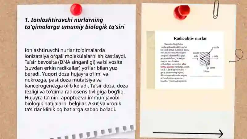 Radiologiya fanidan mustaqil ish 3
