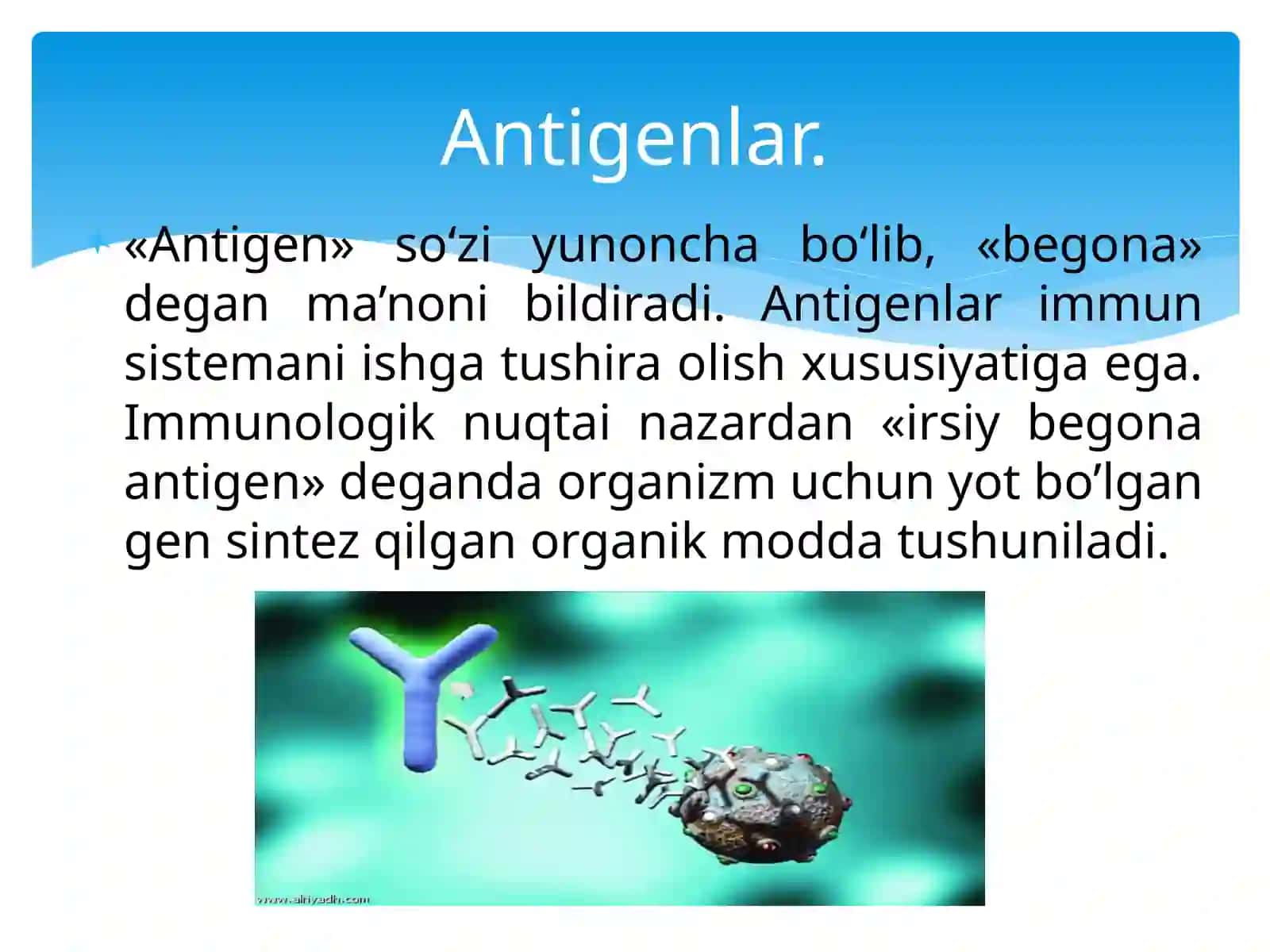 Antigenvaantitela 3
