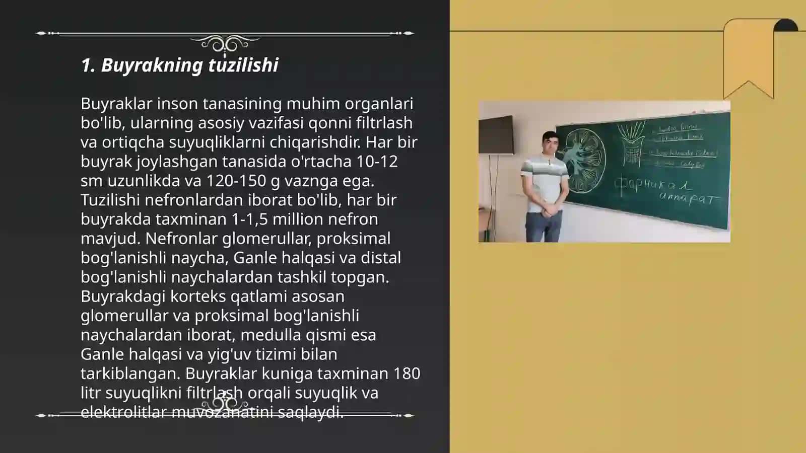 Buyrakning yukstaglomerulyar apparati sitofiziologiyasi. Nefronning gistofiziologiyasi. Buyraklar tuzilishi va regenerator imkoniyatlarining yoshga doir xususiyatlari 3