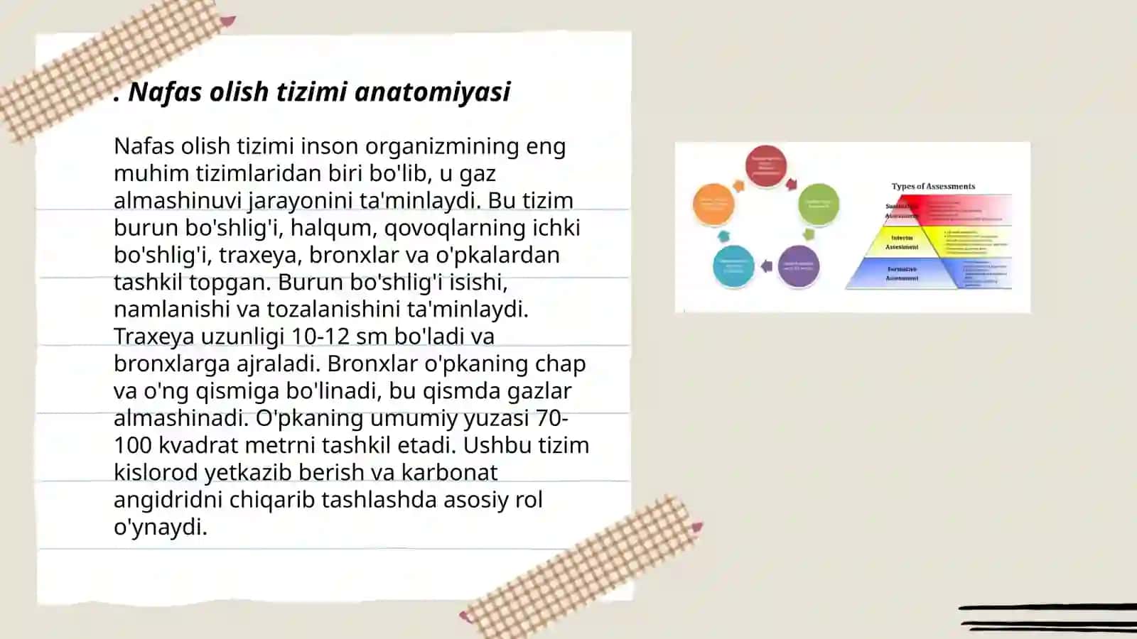 Nafas olish tizimini baholash 3