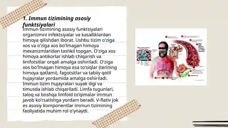 Immun tizimining asosiy funktsiyalari 3