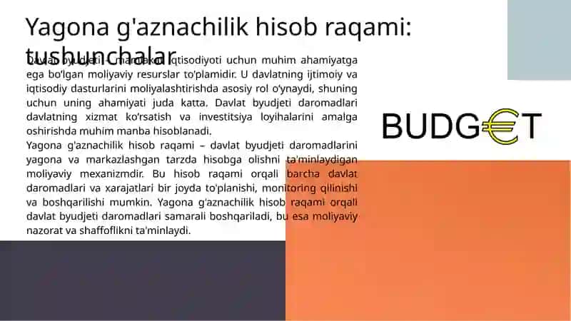 Davlat budjeti daromadlarini yagona g’aznachilik hisob raqamida hisobga olish xususiyatlari 3