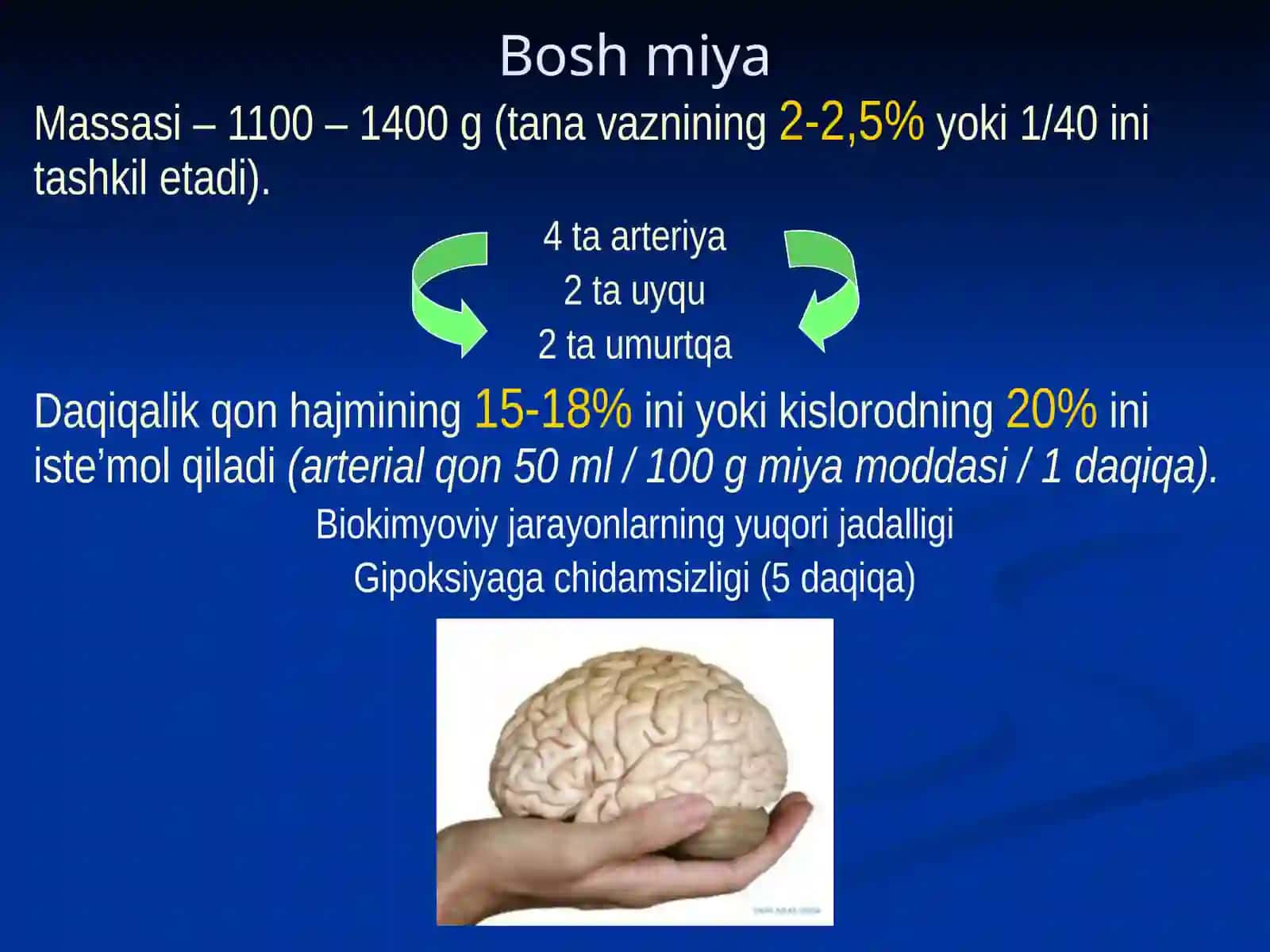 Ma'ruza Kalla suyaklarining umumiy anatomiyasi 3