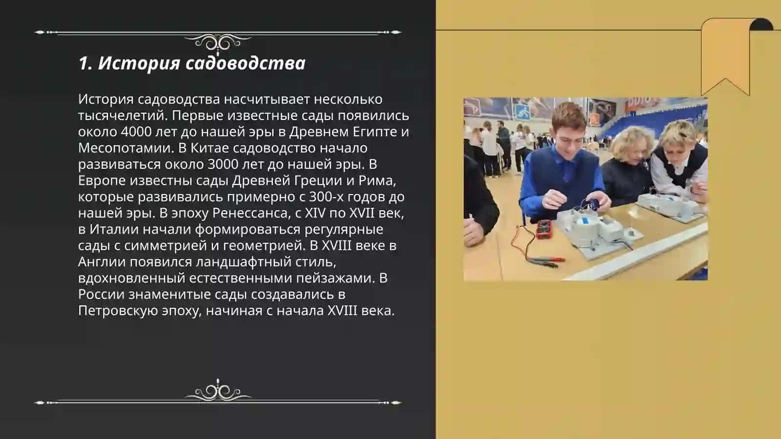 Моя профессия сад 3