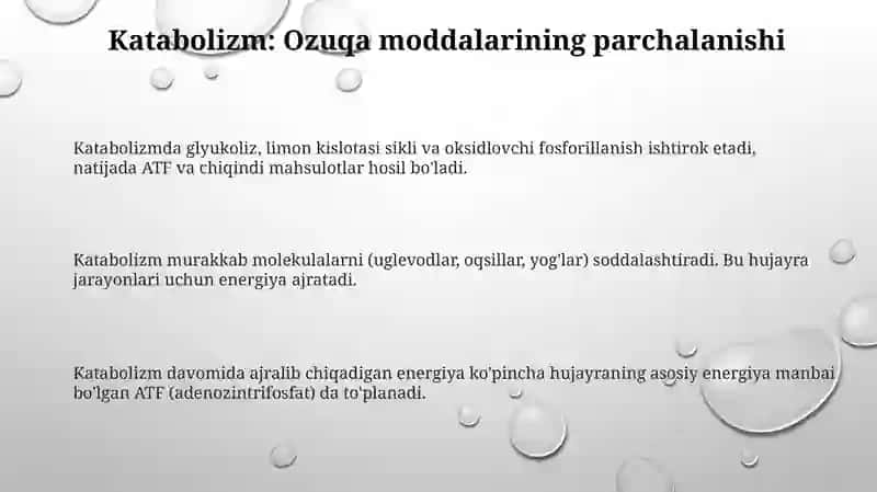 Metabolizm jarayonida energiya hosil boʻlishi va sarflanishi 3