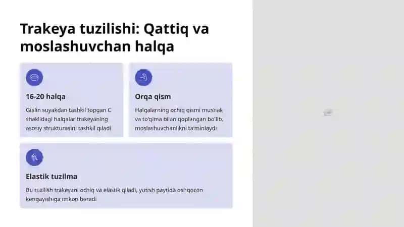 Trakeya Tuzilishi 3