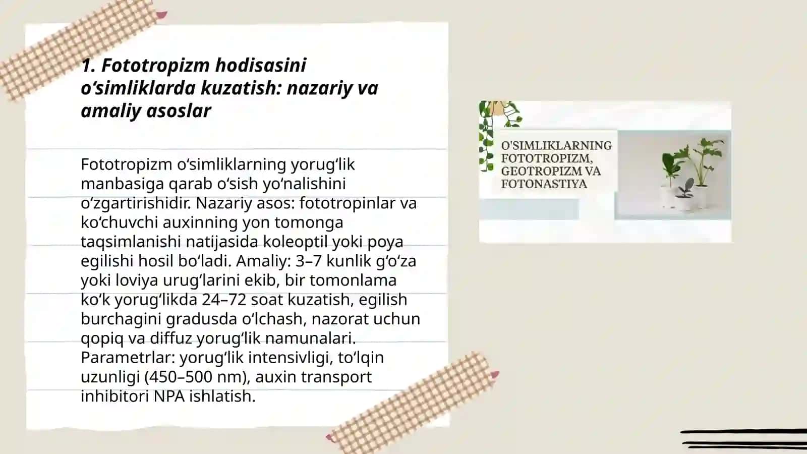 Fototropizm hodisalarini o‘simliklarda kuzatish 3