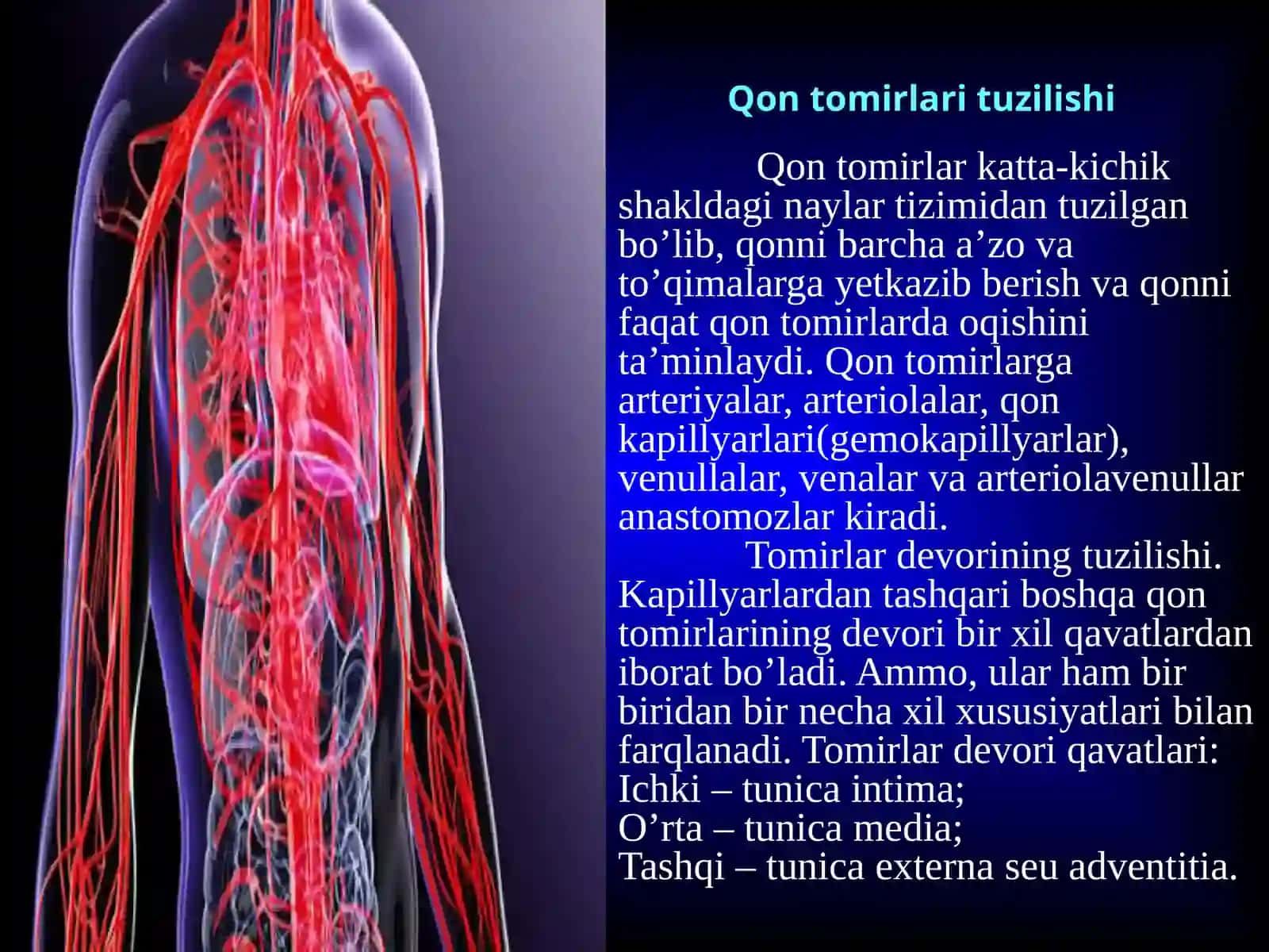 Limfa sistemasi 3