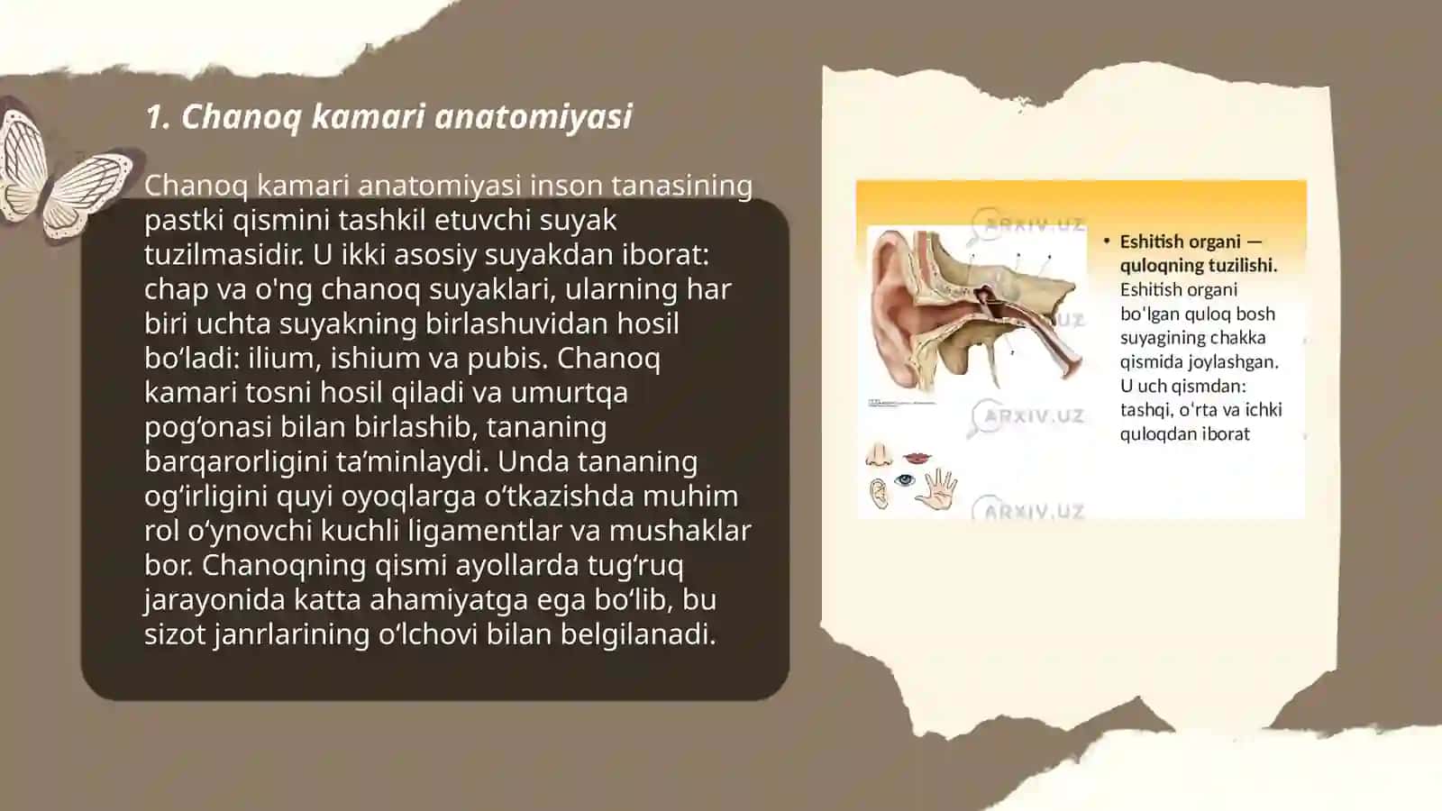 Chanoq kamari va oyiqning erkin suyaklari 3
