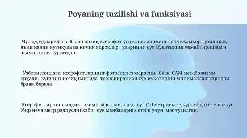 Xerofit oʻsimliklarining ahamiyati 3