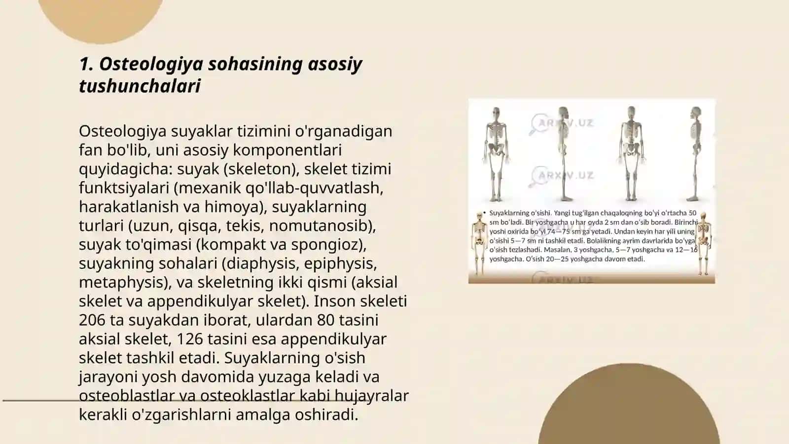 Osteologiya tayanch harakat tizimi 3