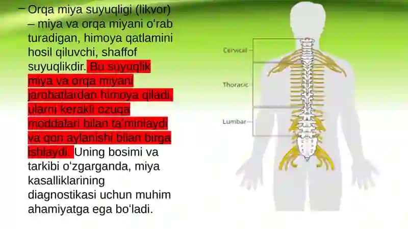 Orqa miya suyuqligi sirkulyatsiyalari, klinikahamiyati 3