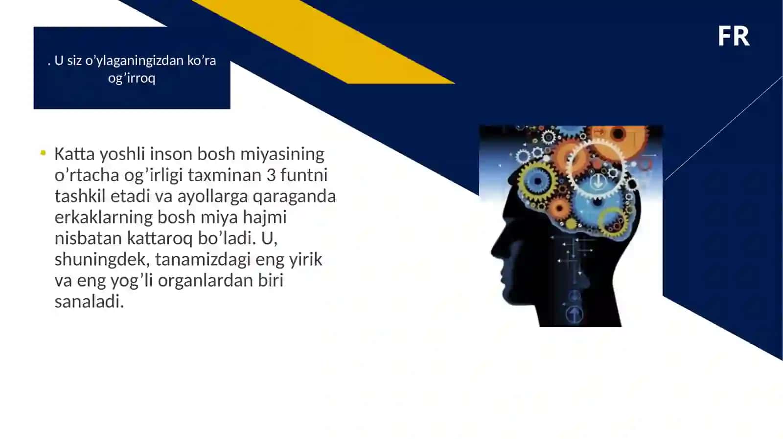 MIYA VA UNING FAOLIYATI 3