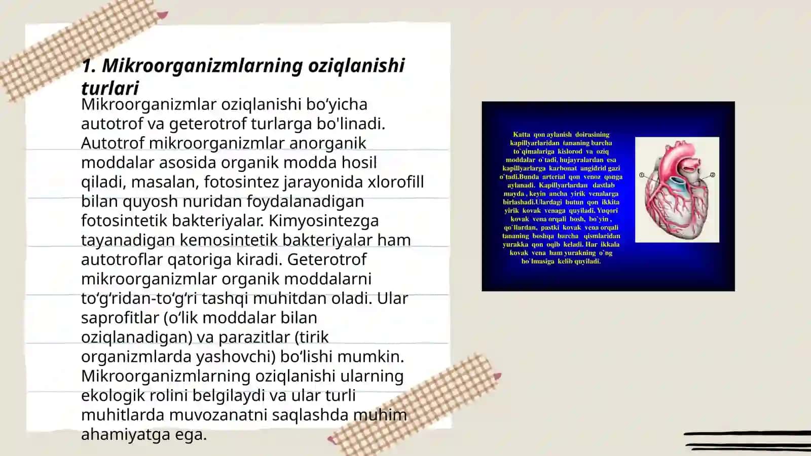 Mikroorganizmlarning oziqlanishi va nafas olishi 3
