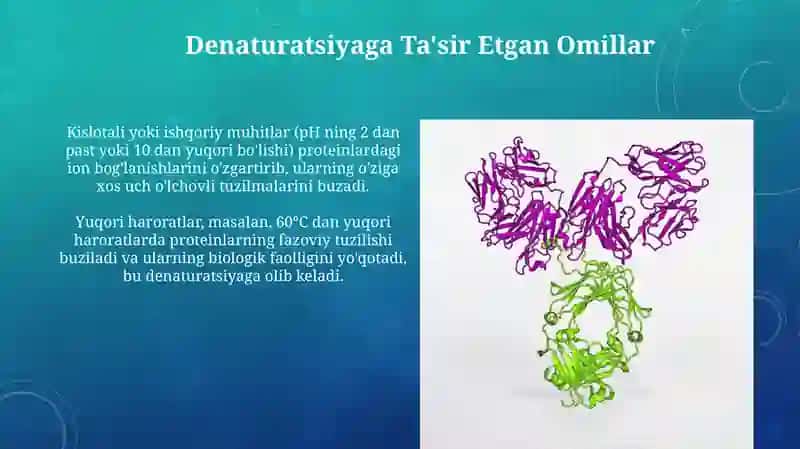 Oqsillar denaturatsiyasi 3