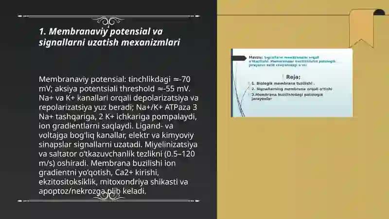 Membranalar buzilishi 3