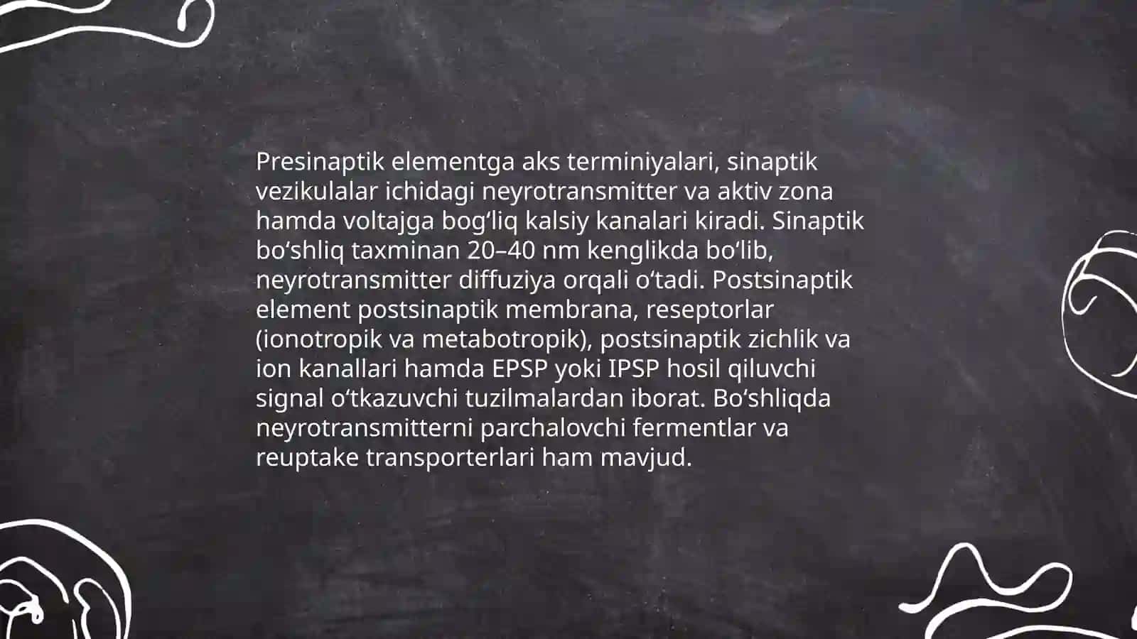 Sinaps 3