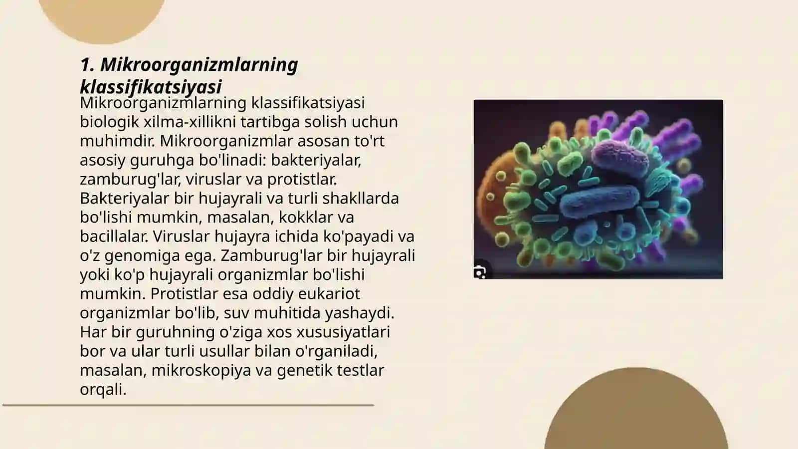 Mikroorganizmlarning zamonaviy sistematikasi 3