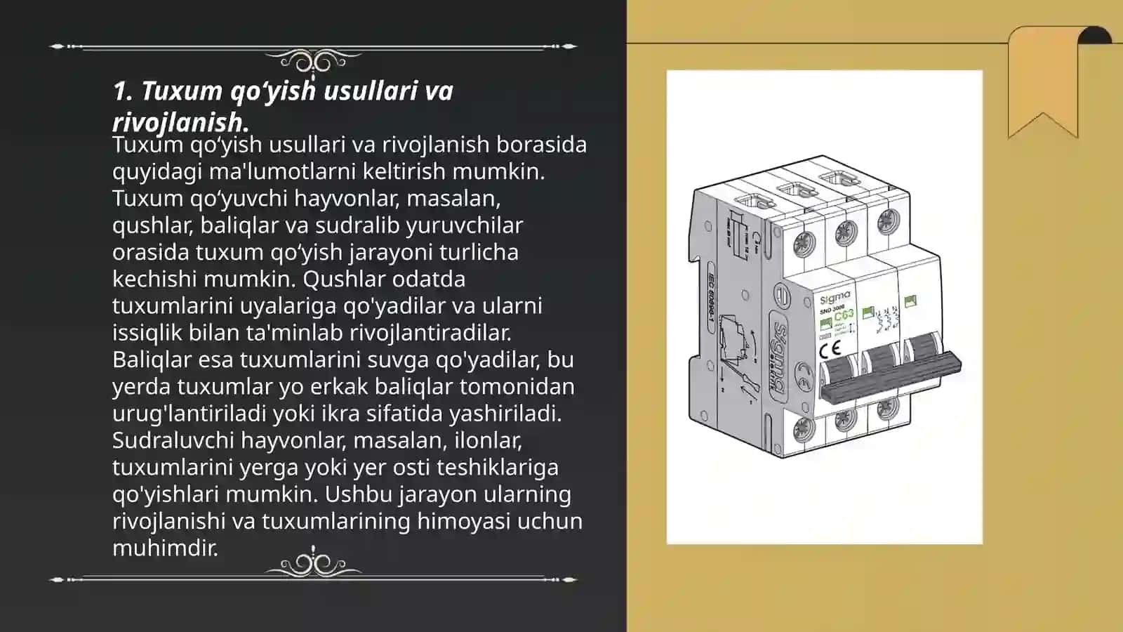 Tuxum qo‘yish usullari va rivojlanish 3