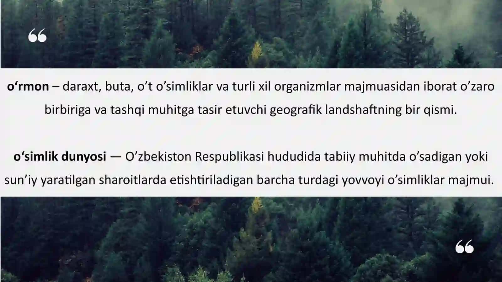 O’SIMLIK DUNYOSI VA O’RMONLARNI MUHOFAZA QILISH VA ULARDAN FOYDALANISHNI HUQUQIY TARTIBGA SOLISH 3