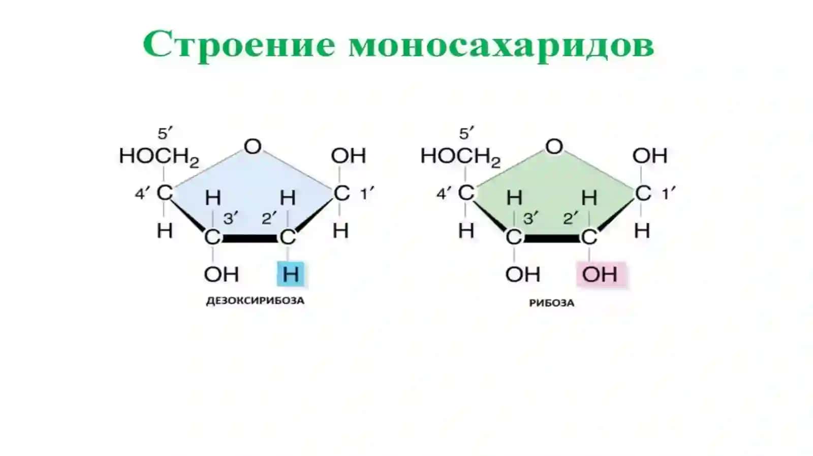 УГЛЕВОДЛАР 3
