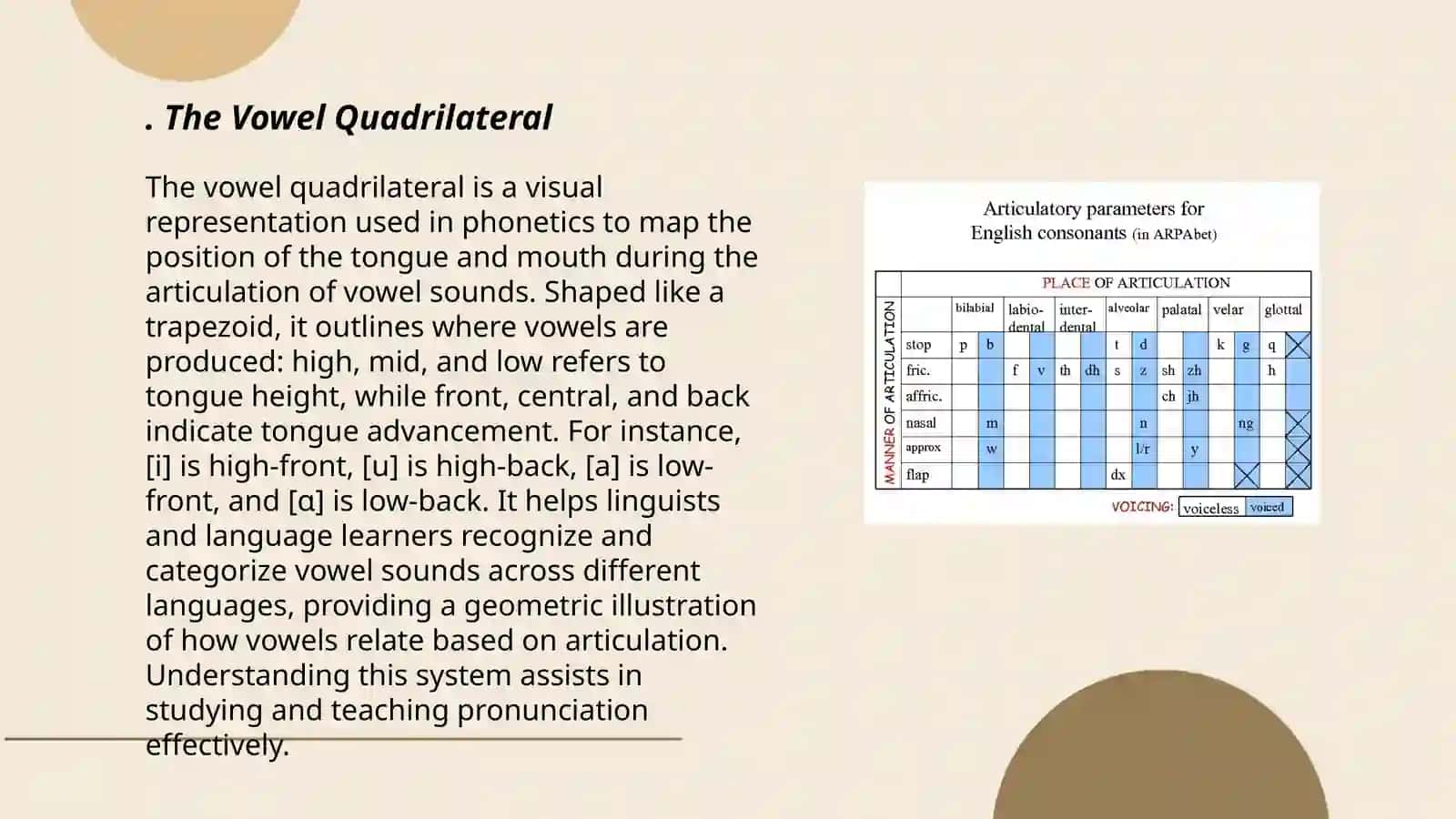 The system of vowel phonemes in english 3