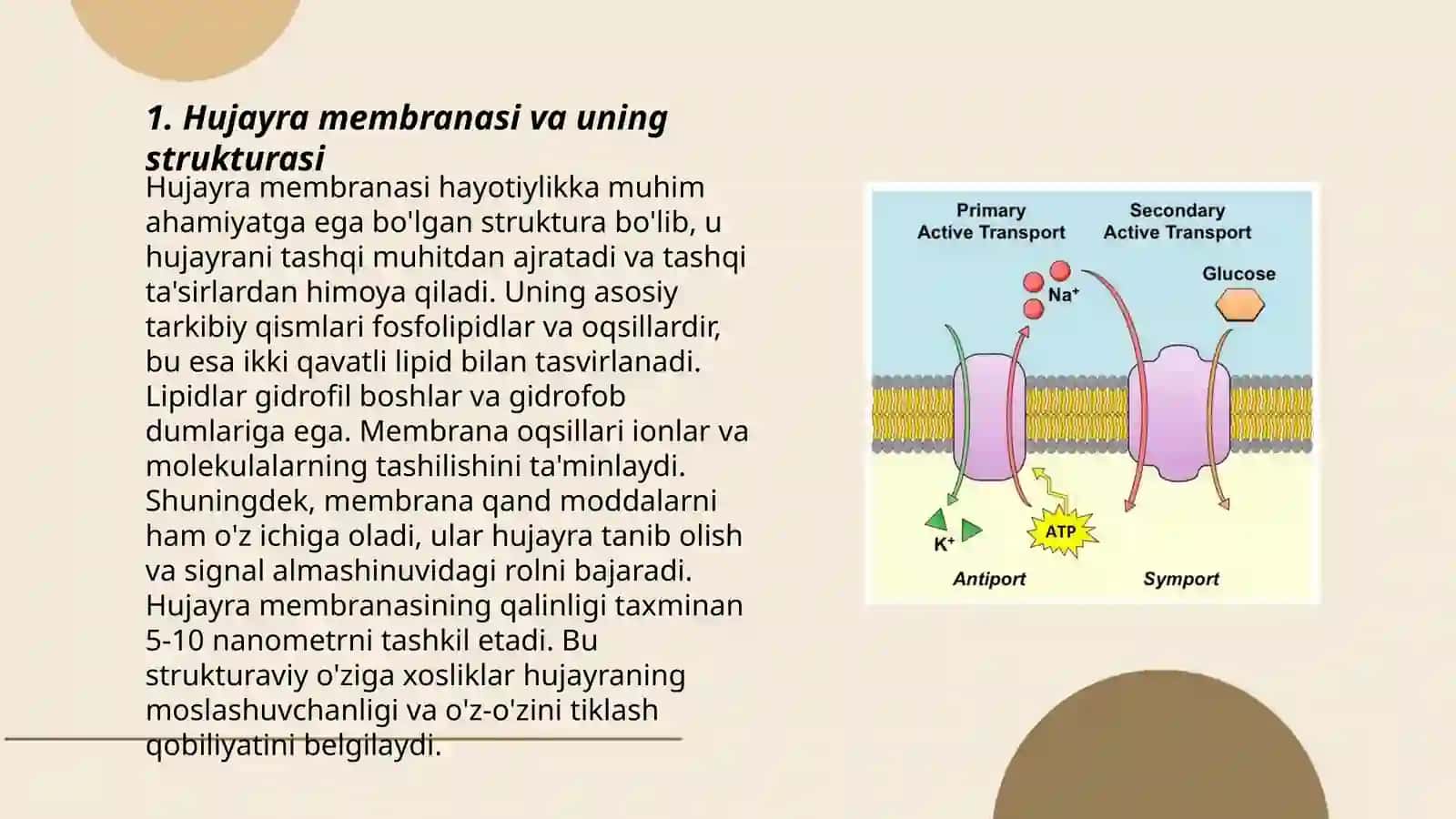 Hujayra membranalari orqali moddalarni aktiv va passiv transporti 3