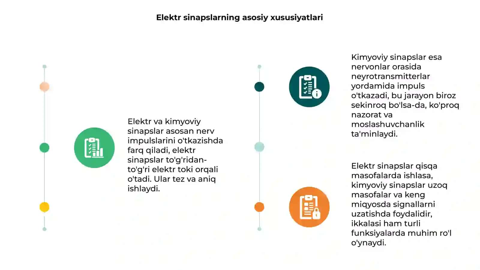 Elektr va kimyoviy sinapslar, ular orasidagi farqlar 3