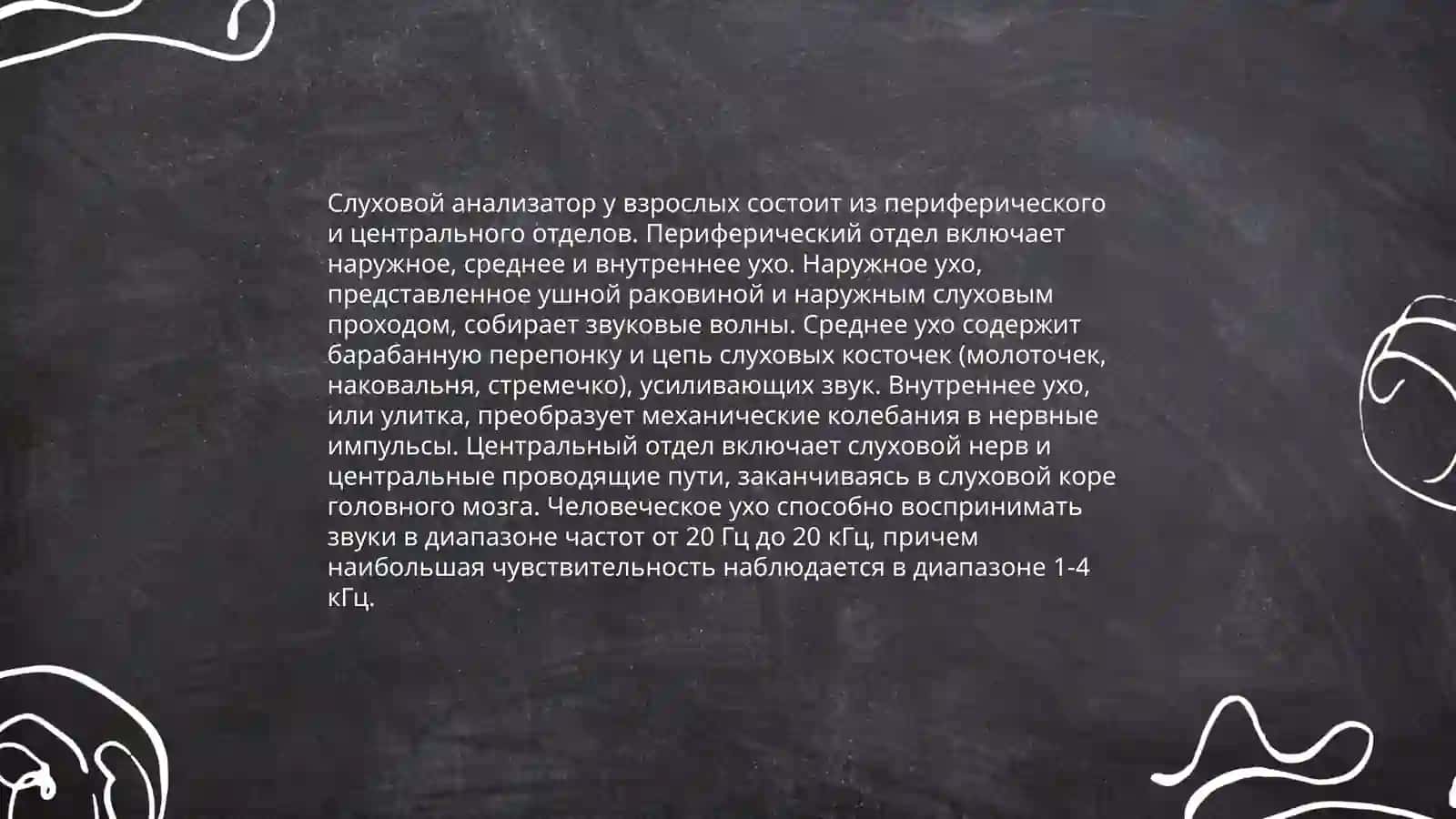 Взрослое особенности и гигиена слухового анализатор 3