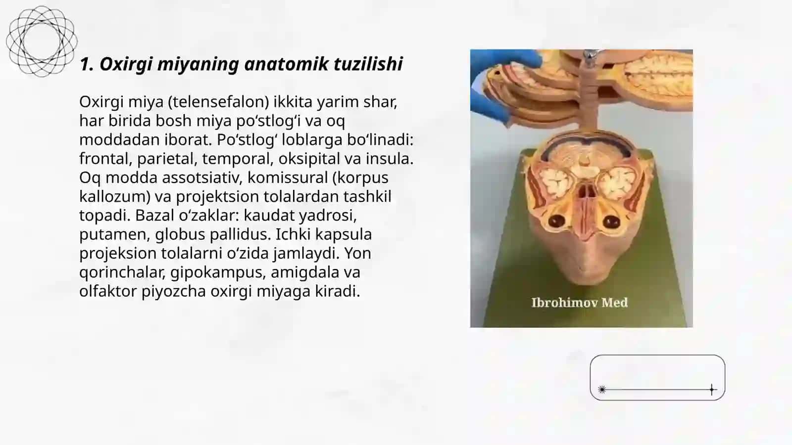 Oxirgi miya. Uning yoshga qarab o‘zgarishi 3