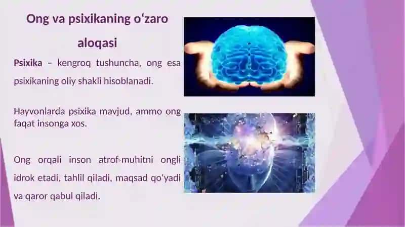 Psixika va ongning taraqqiyoti. Motivatsiya va ustanovkalar. 3