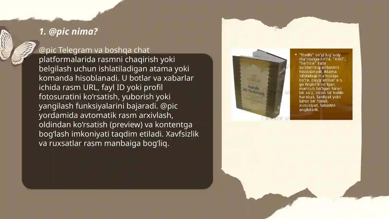 @pic nima? 3