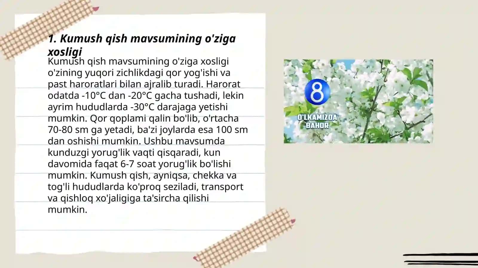 Kumush qish mavsumi 3