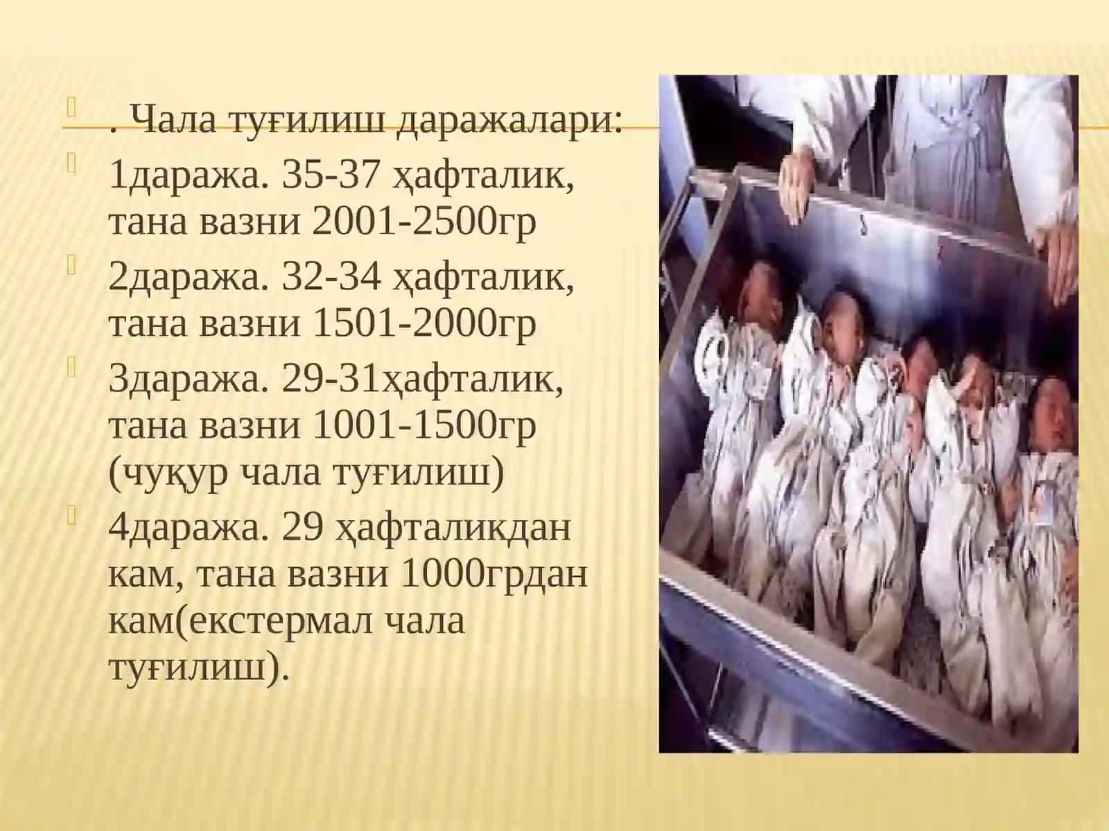 Чалатуғилганчакалоклар 3