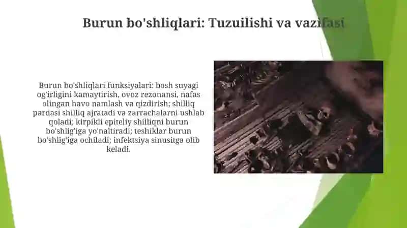 Kalla suyaklari asosi 3