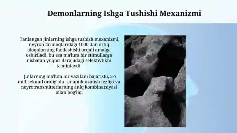 Tanlangan jinlarning tuzulishi va ishlashi 3