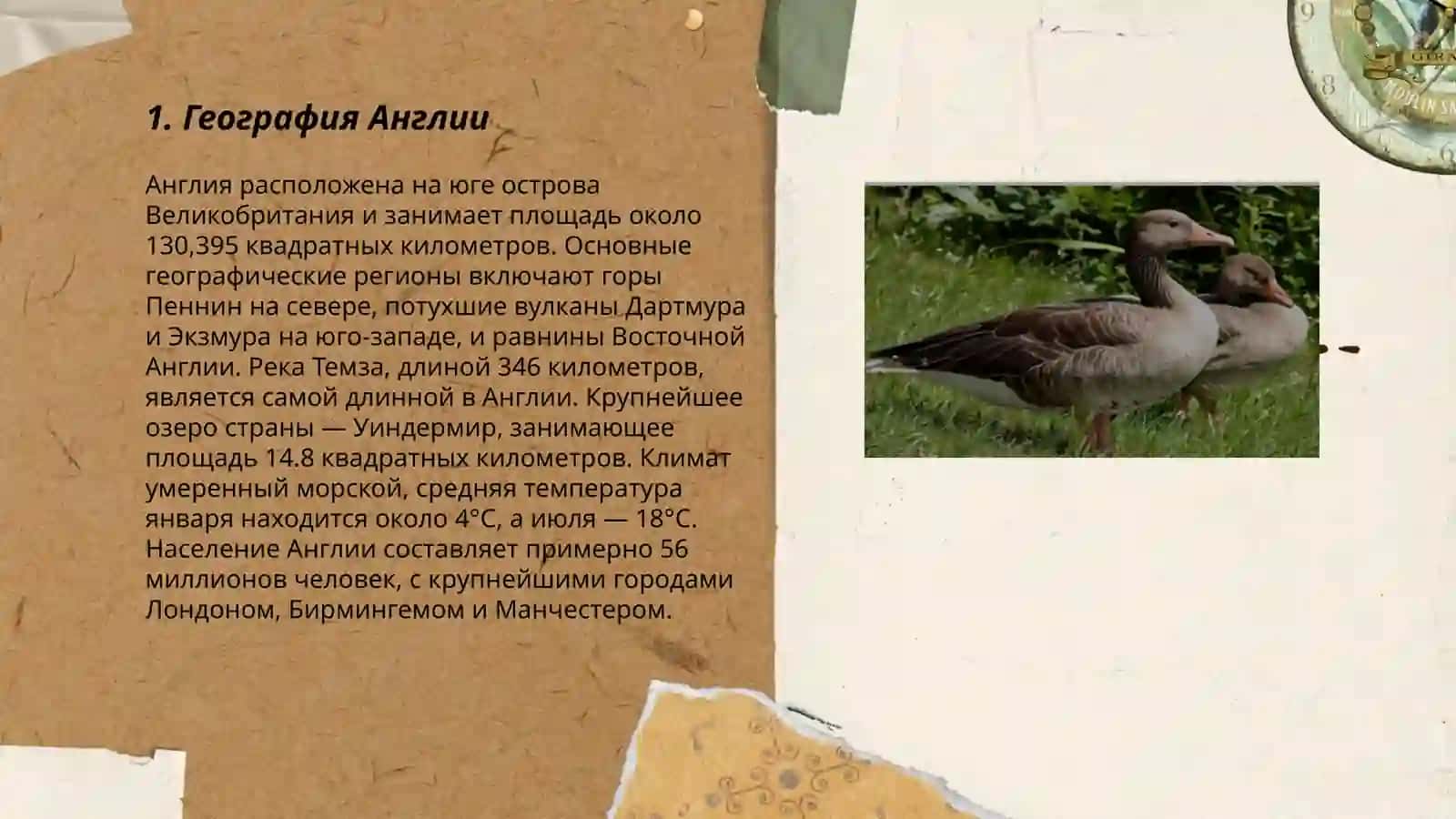 Природа Англии. Имя прилагательное и его классификации 3