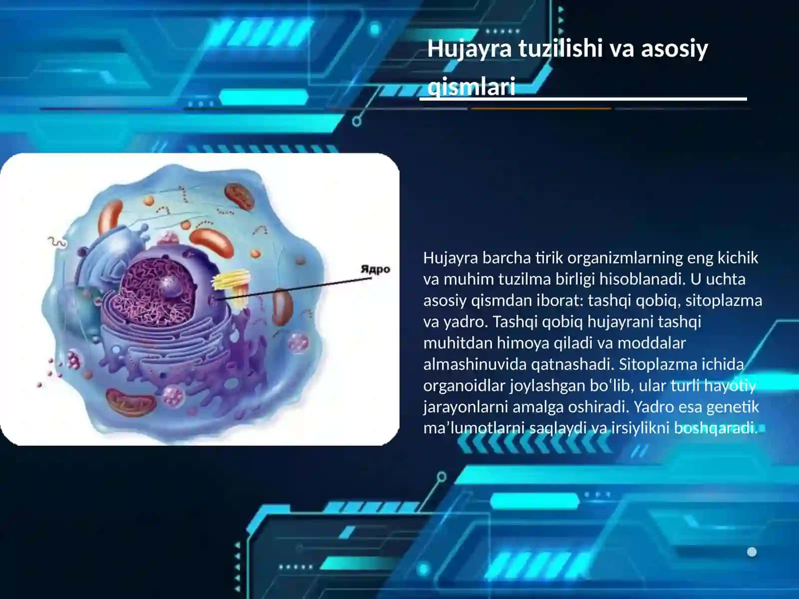 Tibbiy Biologiya Umumiy genatika fandan slaydi 3