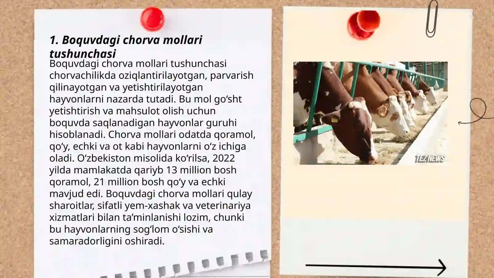Boquvdagi chorva mollari qoʻshilgan va tirik vaznning tannarxini hisoblash 3