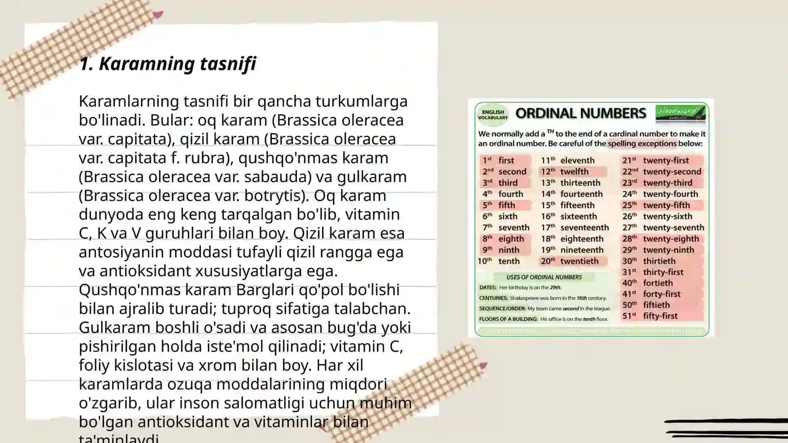 Kam tarqalgan karam tur va navlari bilan tanishish 3