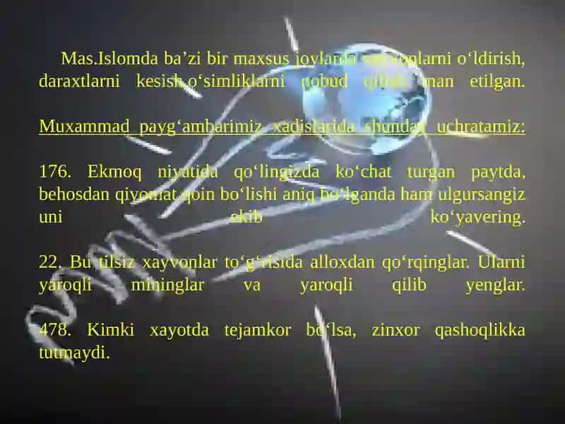 Hadislar va Ekologiya 3